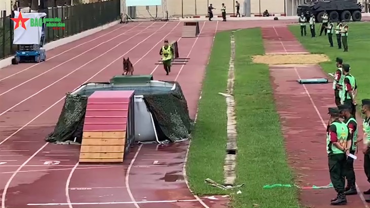 Chú chó nghiệp vụ 