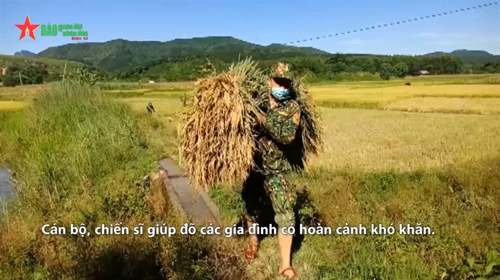 Bộ đội Biên phòng Nghệ An giúp dân gặt lúa