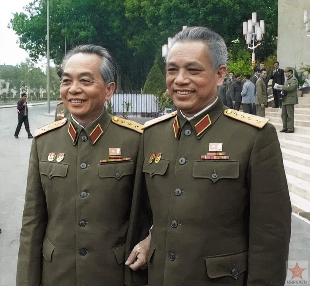 Cây đại thụ rợp bóng nhân văn
