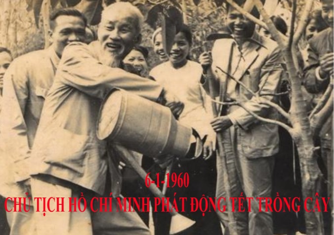 Ngày này năm xưa 6-1-1960: Chủ tịch Hồ Chí Minh phát động Tết trồng cây
