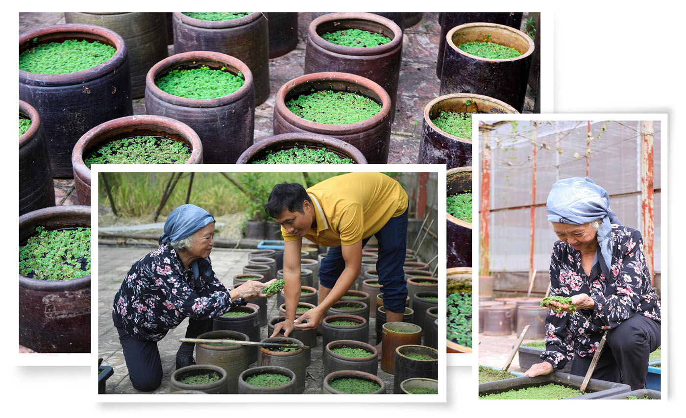 Người đảng viên mẫu mực giữa hành trình khoa học xanh