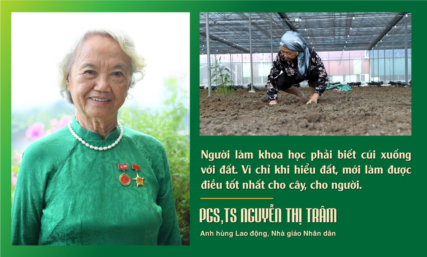 Người đảng viên mẫu mực giữa hành trình khoa học xanh
