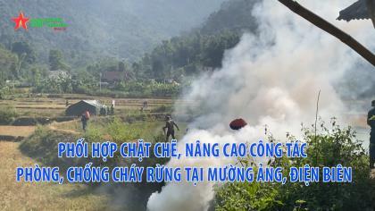 Phối hợp chặt chẽ, nâng cao công tác phòng, chống cháy rừng tại Mường Ảng, Điện Biên