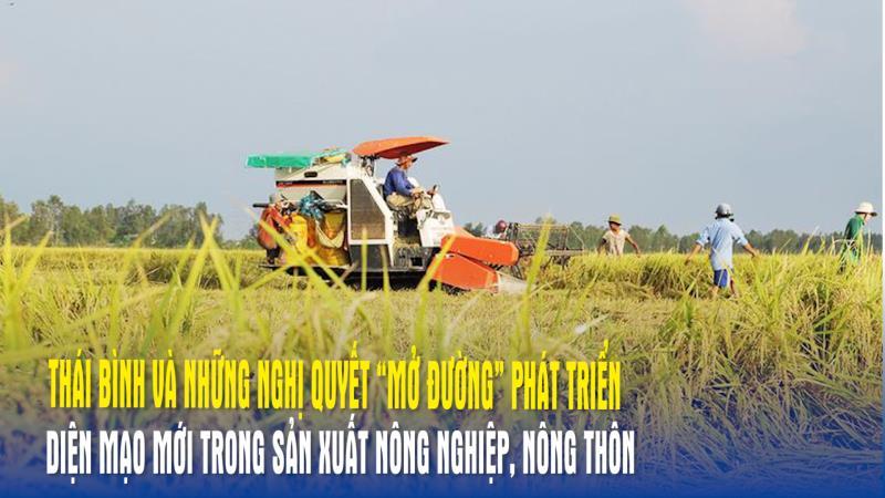 Thái Bình và những nghị quyết “mở đường” phát triển Diện mạo mới trong sản xuất nông nghiệp, nông thôn