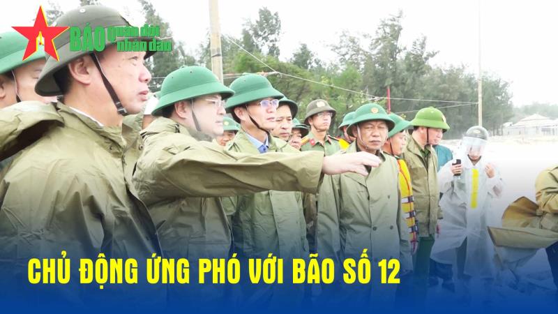 Chủ động ứng phó với bão số 12