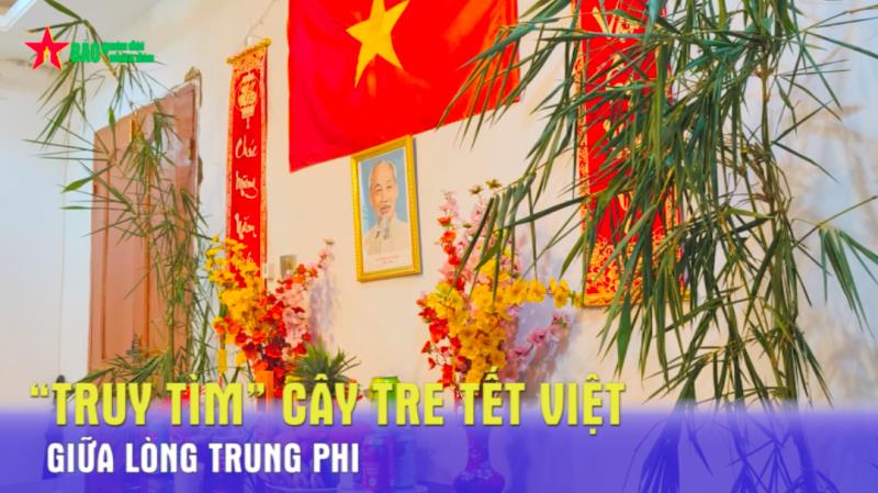 “Truy tìm” cây tre Tết Việt giữa lòng Trung Phi