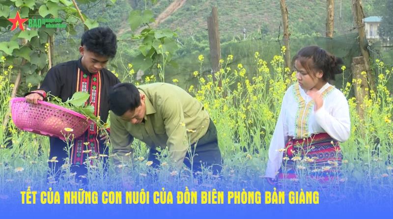 Tết của những con nuôi Đồn Biên phòng Bản Giàng