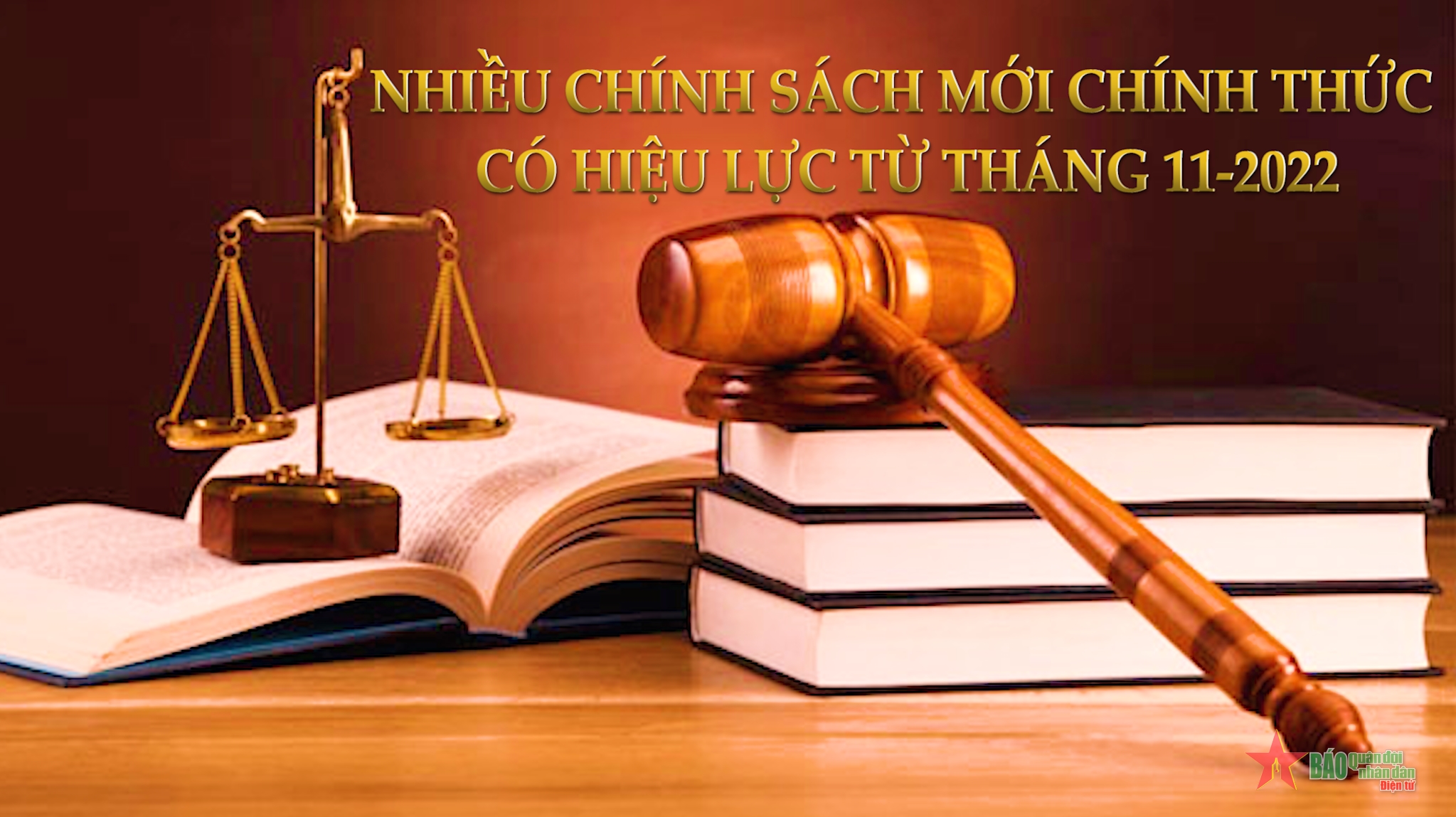 Tích cực cập nhật những chính sách mới nhất, giúp doanh nghiệp đáp ứng tốt hơn các tiêu chuẩn và luật pháp trong lĩnh vực kinh doanh của mình.