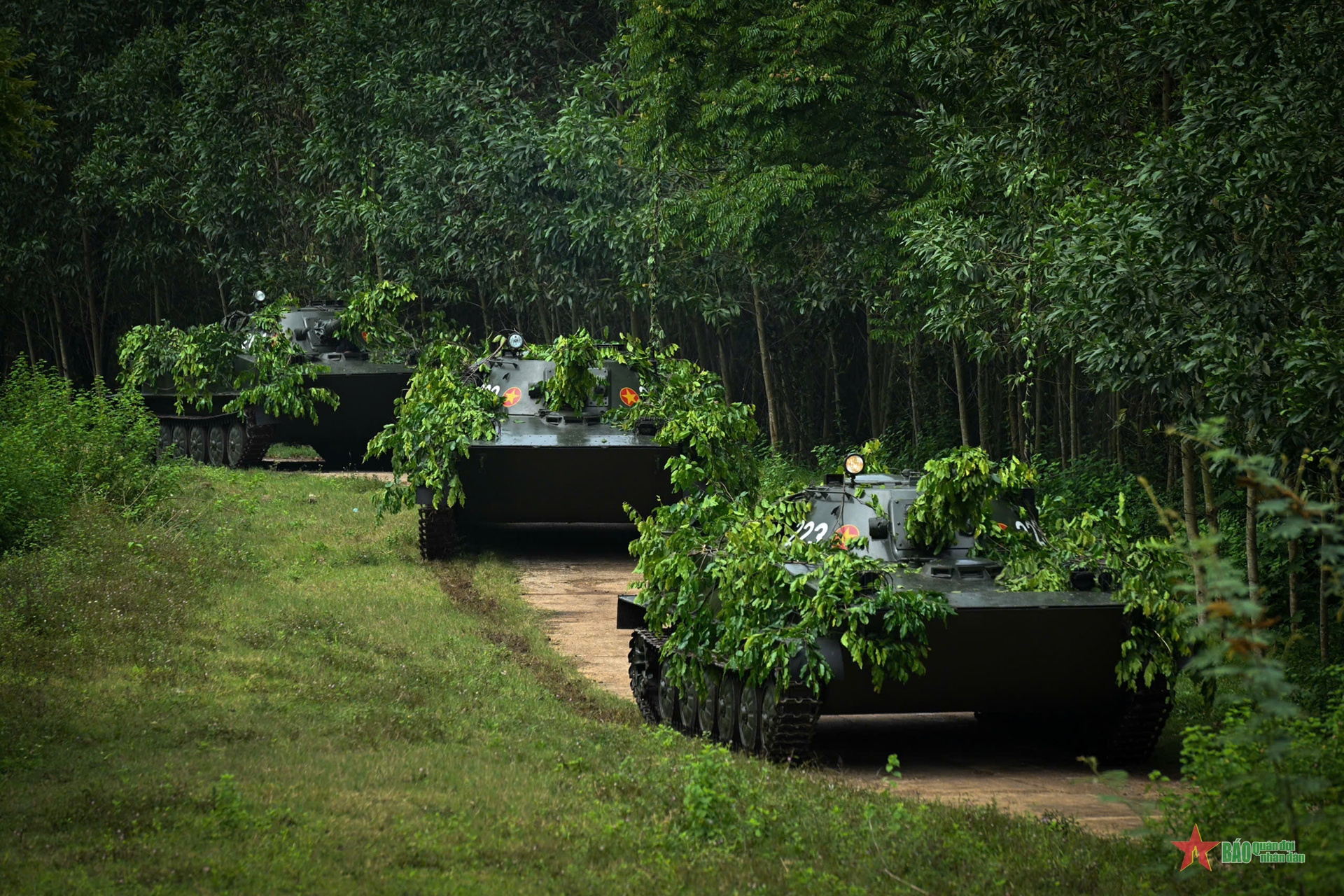 View - 	Lữ đoàn Tăng thiết giáp 206 – Lực lượng đột kích của Quân khu 4